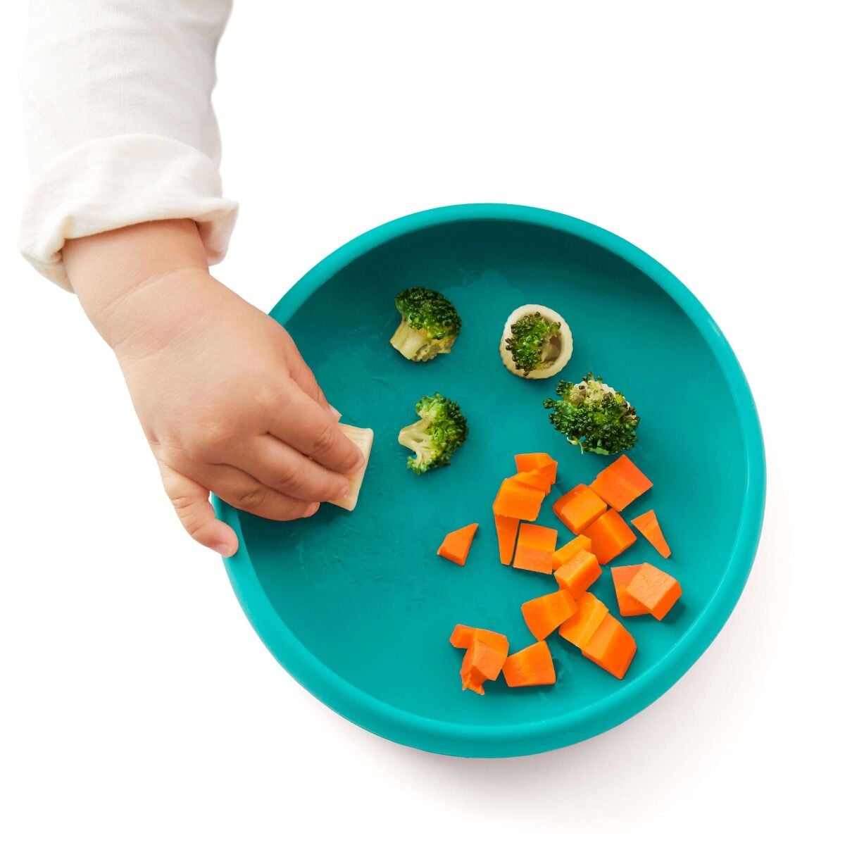 silicone-plate-f9 tot_61149500_17_food_emma_9b_1_.jpg