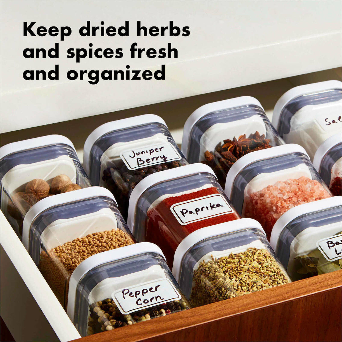 pop-4-piece-mini-container-set-b0 4_pieceaplusartboard_1-100_1_1_.jpg