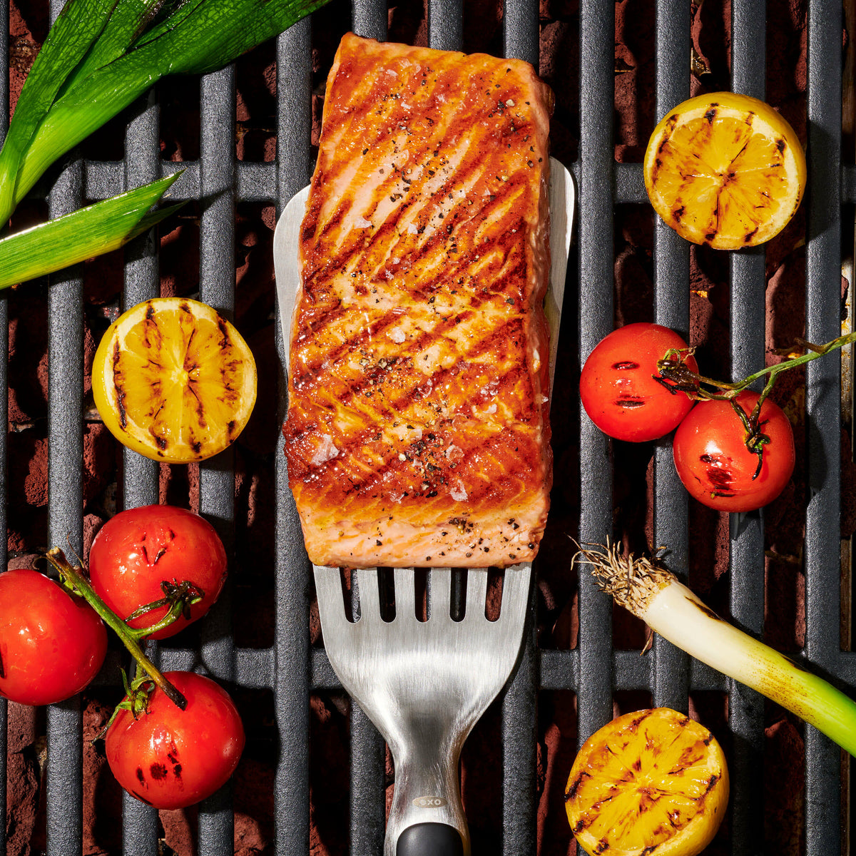 grilling-precision-turner-a1 gg_11309200_052020_11_rgb_1_.jpg