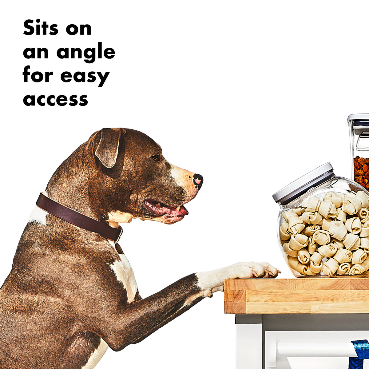 oxo-good-grips-pet-pop-container-3-0-qt-2-8-l-v4 gg_11332400_8b.jpg