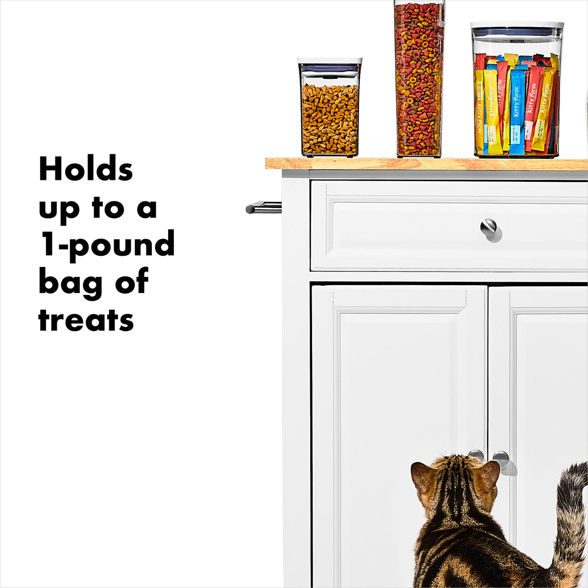 oxo-good-grips-pet-pop-container-1-1-qt-1-l-e7 gg_11332600_8.jpg