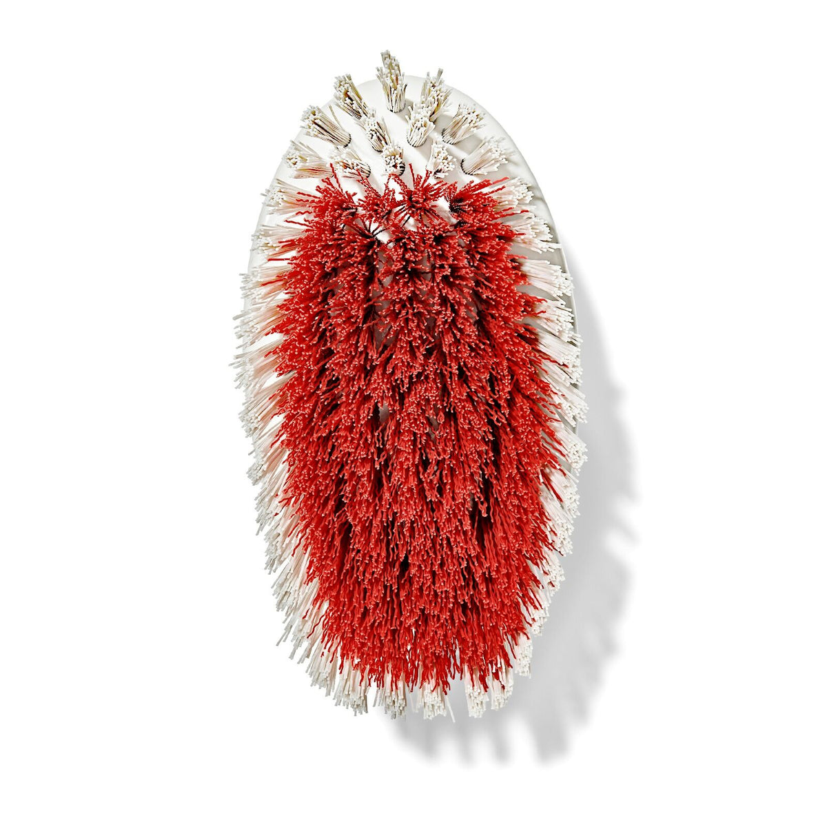 all-purpose-scrub-brush-2-pack-a0 gg_12426000_scrub-brush-2-pack_pdp_07.jpeg