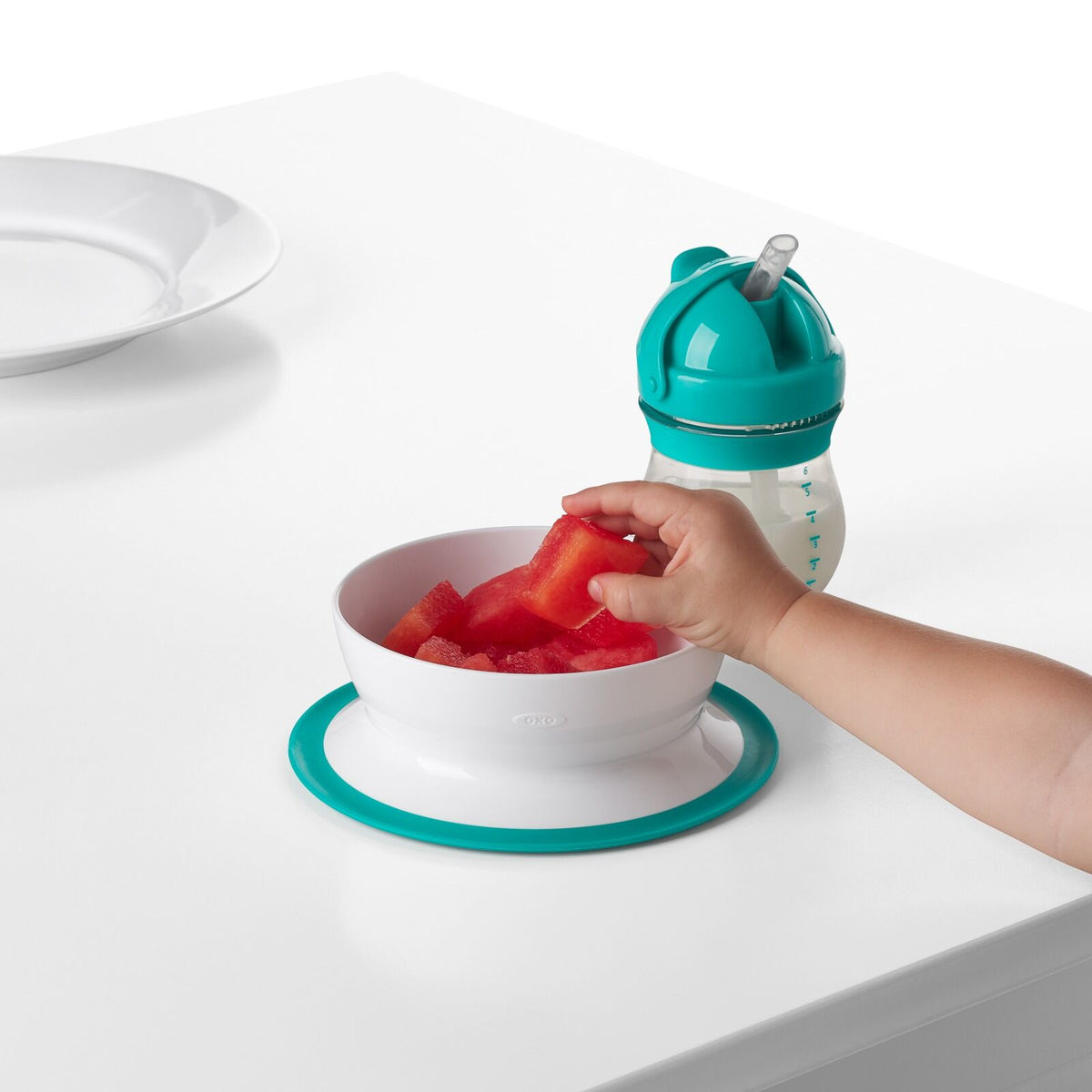 stick-and-stay-suction-bowl-w3 tot_61120600_4i.jpg